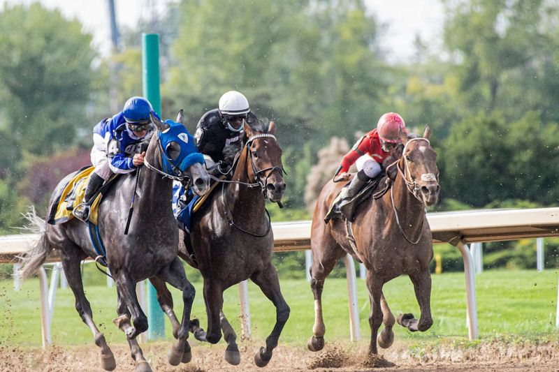 Meet the Top 10 Contenders of the Kentucky Derby Sport Makers